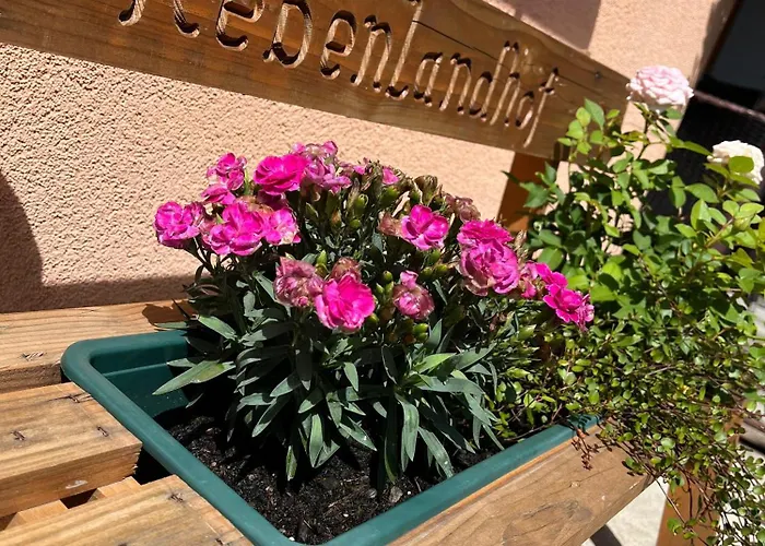 بيت ريفي Rebenlandhof ليوتسشاخ